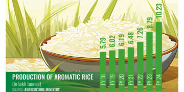 Production of Aromatic Rice Almost Doubles in Seven Years