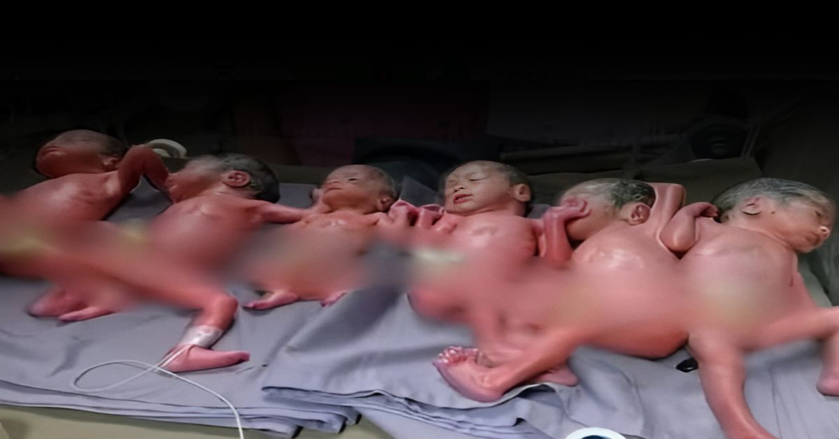 6 Babies
