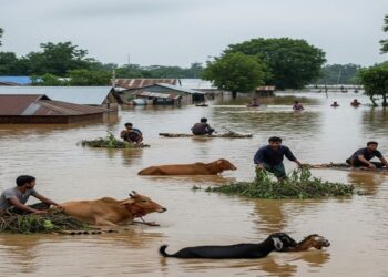 Flood Crisis in Bangladesh