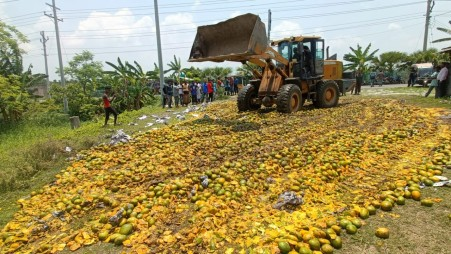 Mangoes