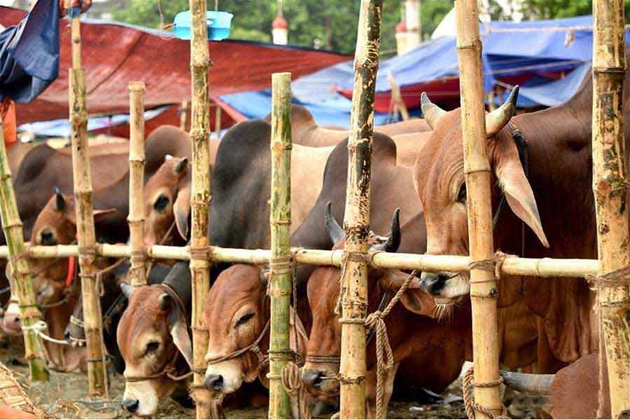 Sylhet is well-prepared for this year’s Eid-ul-Azha