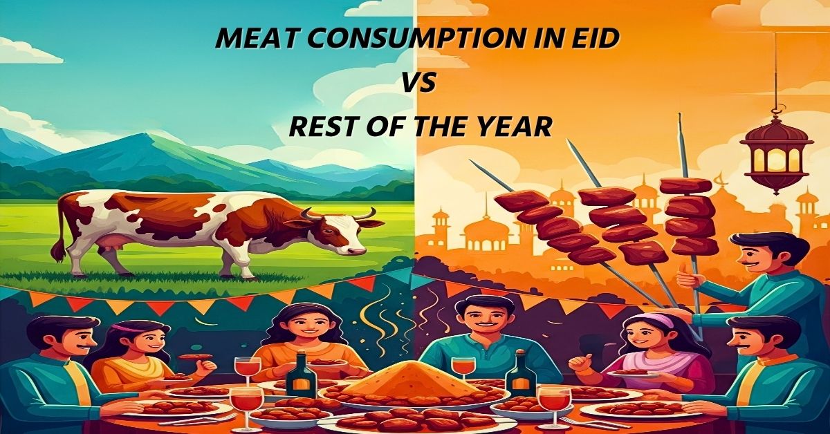 Meat Consumption in Eid vs Rest of the Year