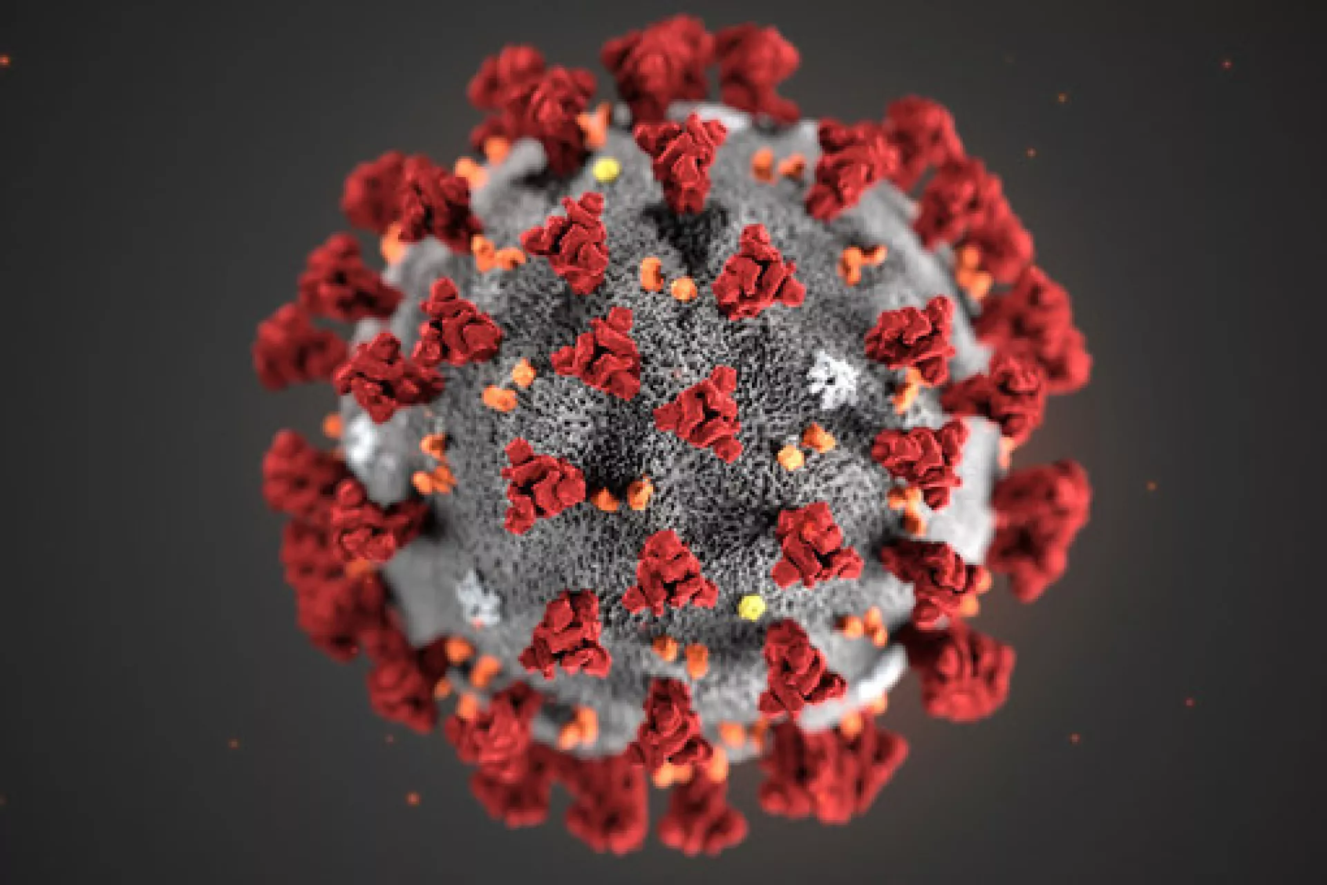 Coronavirus cases in India