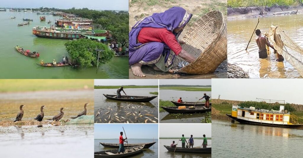 Tanguar Haor