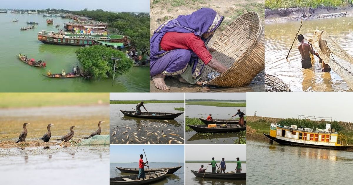 Tanguar Haor