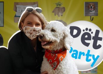 PetParty