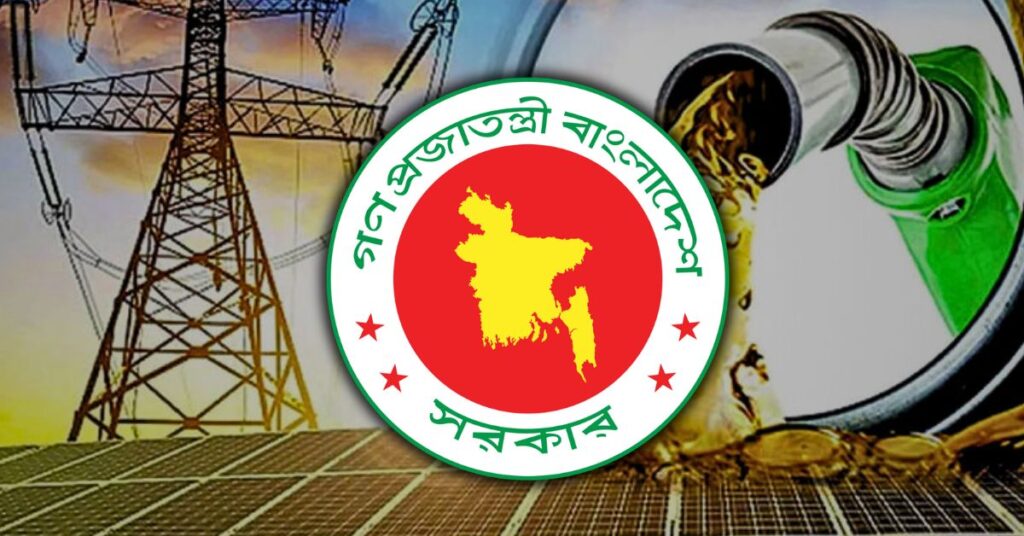 The Electricity and Energy Sector