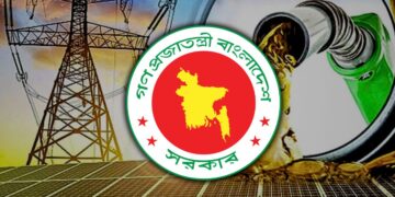 The Electricity and Energy Sector