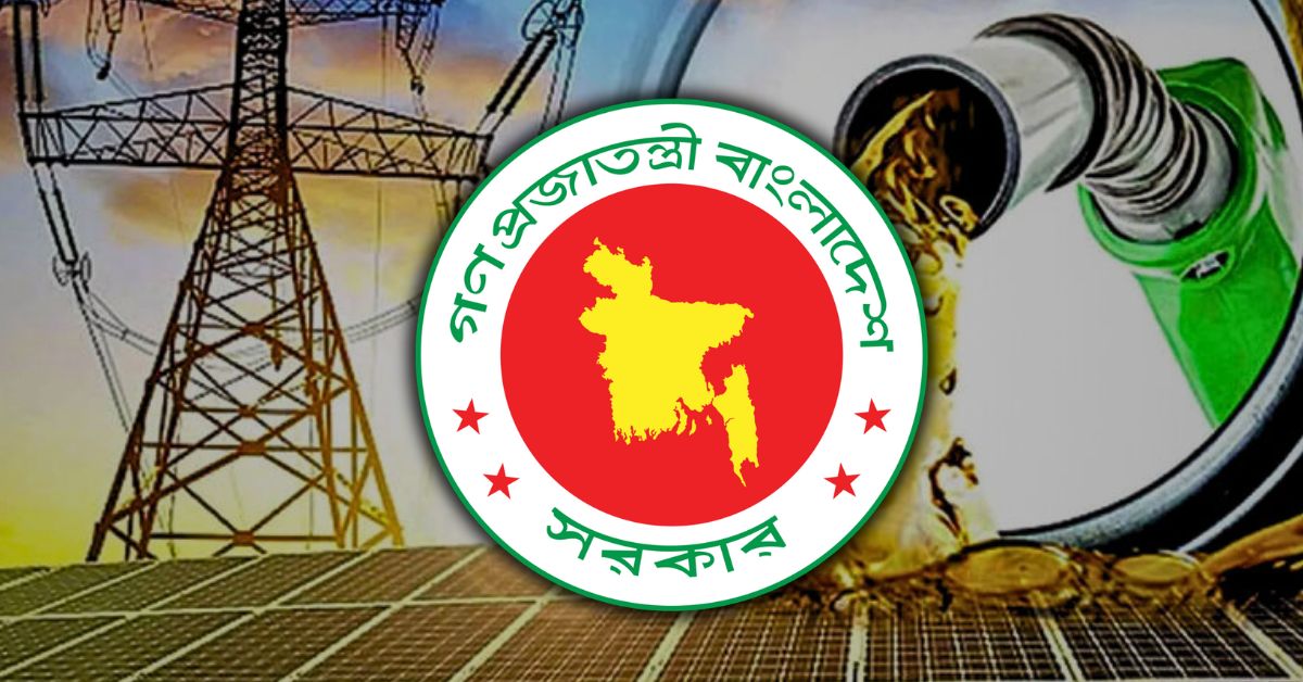 The Electricity and Energy Sector