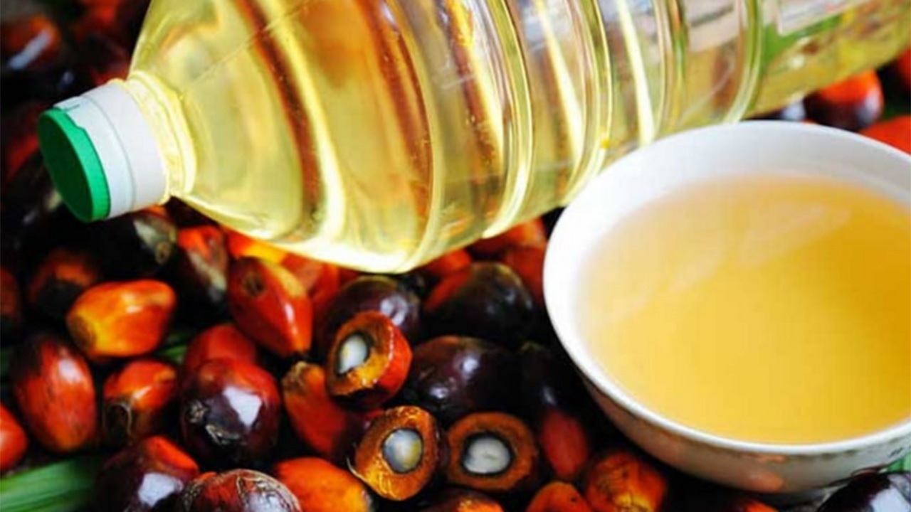 Palm Oil Price