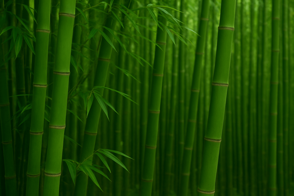 World Bamboo Day