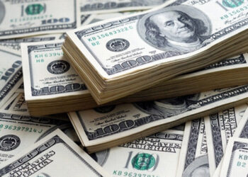 Foreign Exchange Reserves