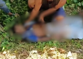 BNP Leader Brutally Beaten