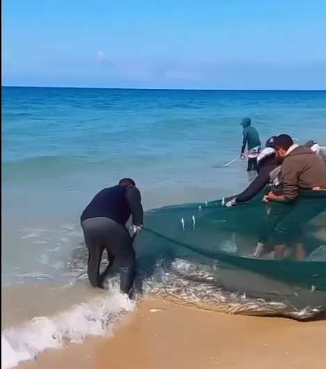 Gaza Seize Rare Chance to Catch Fish