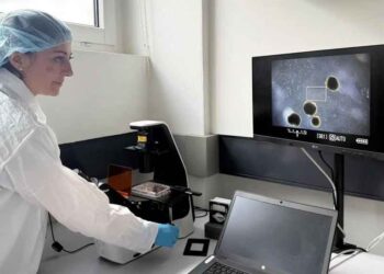 Scientists grow mini human brains to power computers