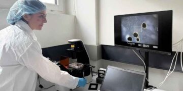 Scientists grow mini human brains to power computers