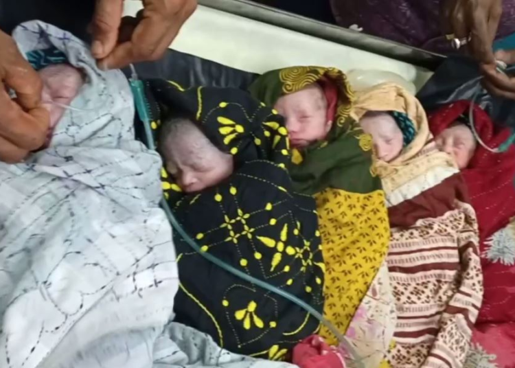 Five Babies