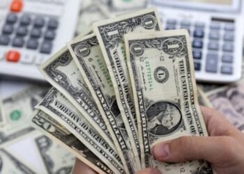 Foreign Currency Reserves