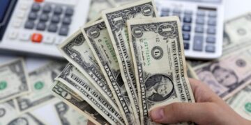 Foreign Currency Reserves