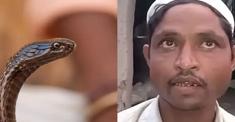 Wife Turns into Snake