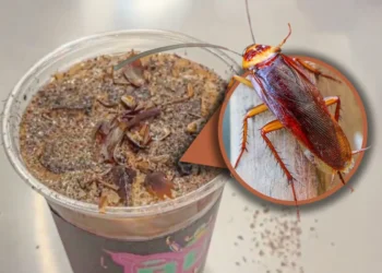 Cockroach Coffee