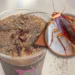 Cockroach Coffee