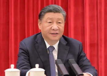 Humanitarian Aid for Gaza